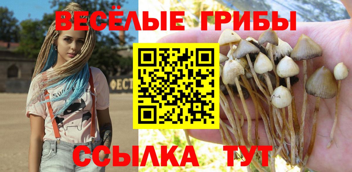 Галлюциногенные грибы прущие грибы  Вход с VPN  Спасск-Дальний 